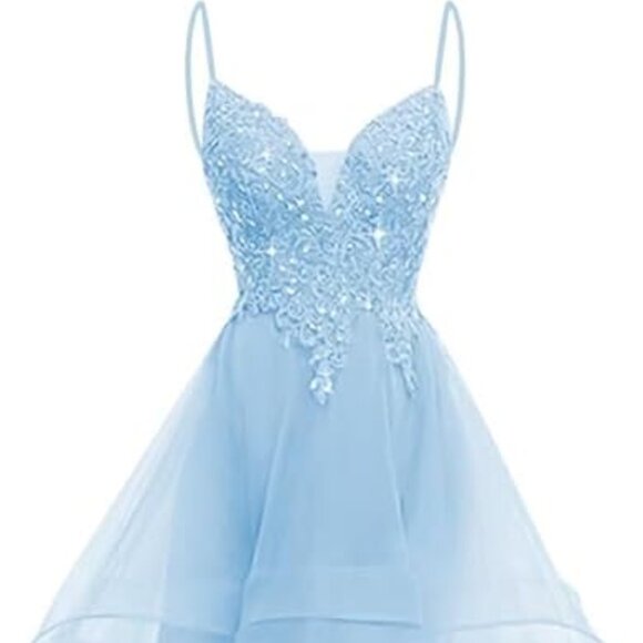Dresses & Skirts - 24W Plus Size Blue Lace Applique Hi-Low Tulle Party Prom Homecoming Dress